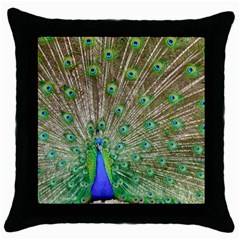 Peacock Color Bird Colorful Throw Pillow Case (black) by Pakrebo