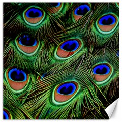 Peacock Feathers Canvas 16  X 16  by snowwhitegirl