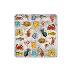 Sea World Vintage Pattern Square Magnet by Valentinaart