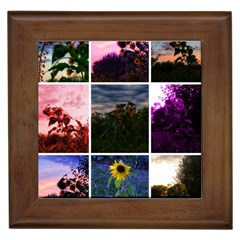 Sunflower Collage Framed Tiles by okhismakingart