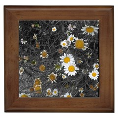 Black And White With Daisies Framed Tiles by okhismakingart