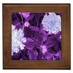 Queen Anne s Lace With Purple Leaves Framed Tiles by okhismakingart