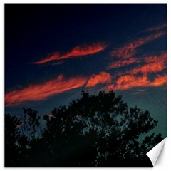 Pink Streaks Canvas 20  X 20  by okhismakingart