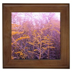 Pink Goldenrod Framed Tiles by okhismakingart