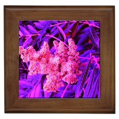 Pink And Blue Sideways Sumac Framed Tiles by okhismakingart