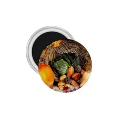 Pumpkin Vegetables Autumn 1 75  Magnets by Pakrebo