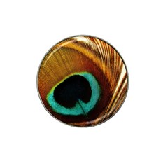 Feather Peacock Feather Peacock Hat Clip Ball Marker (4 Pack) by Nexatart