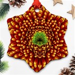 Flower Dahlia Red Petals Color Snowflake Ornament (Two Sides) Front