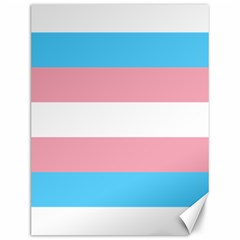 Transgender Pride Flag Canvas 12  X 16  by lgbtnation