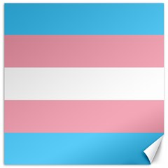 Transgender Pride Flag Canvas 20  X 20  by lgbtnation