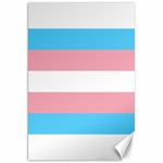 Transgender Pride Flag Canvas 20  x 30  19.62 x28.9  Canvas - 1