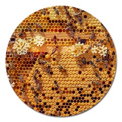 Bees Nature Animals Honeycomb Magnet 5  (round) by Pakrebo