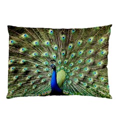 Blue And Green Peacock Pillow Case (two Sides) by Pakrebo