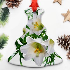 Lilies Flowers Perfume Arrangement Christmas Tree Ornament (two Sides) by Pakrebo