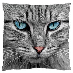 Cat Animal Cat Portrait Mackerel Standard Flano Cushion Case (one Side) by Sudhe