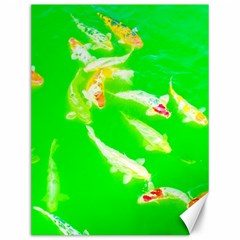 Koi Carp Scape Canvas 12  X 16  by essentialimage