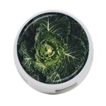 Plant Leaf Flower Green Produce Vegetable Botany Flora Cabbage Macro Photography Flowering Plant 4-Port USB Hub (Two Sides) Back