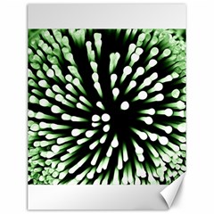 Bacteria Bacterial Species Imitation Canvas 12  X 16  by HermanTelo