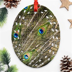 Peacock Feathers Color Plumage Green Ornament (oval Filigree) by Sapixe