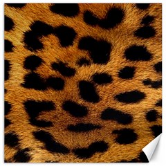 Leopard Skin Pattern Background Canvas 20  X 20  by Vaneshart