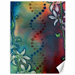 Flower Dna Canvas 36  X 48  by RobLilly