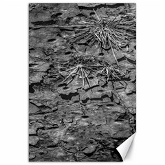 Black And White Texture Print Canvas 20  X 30  by dflcprintsclothing