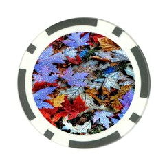 Rainbow Season Poker Chip Card Guard by Sparkle