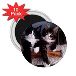 Cats Brothers 2.25  Magnets (10 pack)  Front