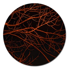 Dark Forest Scene Print Magnet 5  (round) by dflcprintsclothing