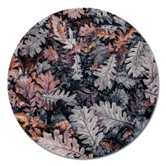 Autumn Leafs Magnet 5  (round) by Sparkle