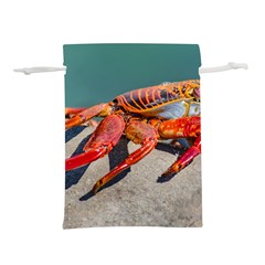 Colored Crab, Galapagos Island, Ecuador Lightweight Drawstring Pouch (l) by dflcprintsclothing