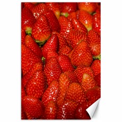 Colorful Strawberries At Market Display 1 Canvas 20  X 30  by dflcprintsclothing