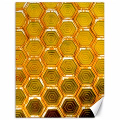 Hexagonal Windows Canvas 18  X 24  by essentialimage365