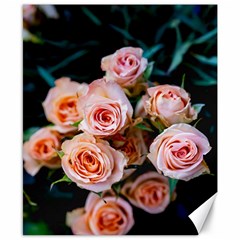 Sweet Roses Canvas 8  X 10  by LW323