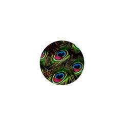 Peacock-feathers-plumage-pattern 1  Mini Magnets by Sapixe