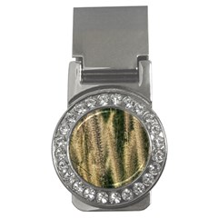 Fountain Grass Under The Sun Money Clips (cz)  by DimitriosArt