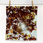 Golden Leaf s Face Towel Front