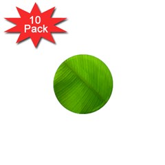 Banana Leaf 1  Mini Magnet (10 Pack)  by artworkshop