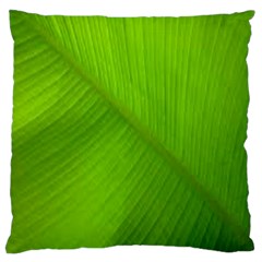 Banana Leaf Large Cushion Case (one Side) by artworkshop