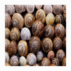 Snail Shells Pattern Arianta Arbustorum Medium Glasses Cloth by artworkshop