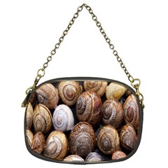 Snail Shells Pattern Arianta Arbustorum Chain Purse (two Sides) by artworkshop