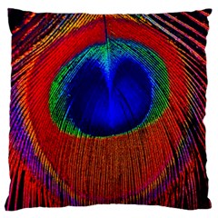 Peacock Plumage Fearher Bird Pattern Large Flano Cushion Case (two Sides) by Sapixe