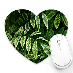 Leaves Foliage Twig Bush Plant Heart Mousepads by artworkshop