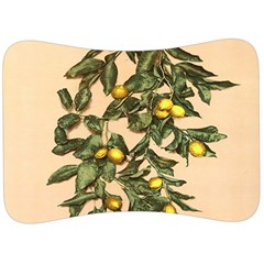 A Vintage Bunch Of Lemons Velour Seat Head Rest Cushion by ConteMonfrey