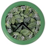 Leaves Foliage Botany Plant Color Wall Clock Front