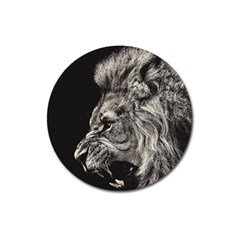 Angry Male Lion Magnet 3  (round) by Jancukart