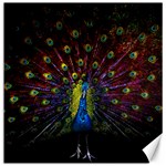 Beautiful Peacock Feather Canvas 20  x 20  19 x19.27  Canvas - 1