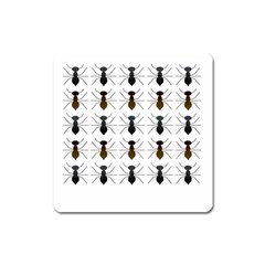 Ant Insect Pattern Cartoon Ants Square Magnet by Ravend