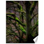 Tree Moss Forest Bark Wood Trunk Canvas 36  x 48  35.26 x46.15  Canvas - 1