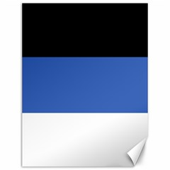 Estonia Canvas 12  X 16  by tony4urban